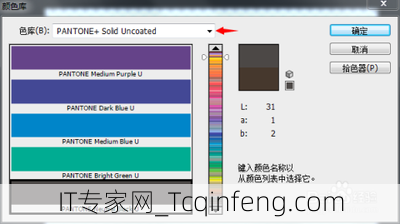 色卡图片ai有什么样的颜色选择？