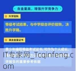 青少年软件编程等级考试含金量